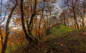 Foto dei Monti Picentini - Sentiero delle miniere di Ittiolo