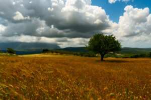 Foto di paesaggio dell'Alta Valle Sele (Salerno)