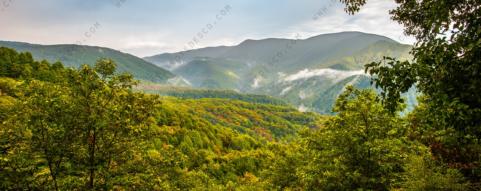 Foto di paesaggio dei Monti Picentini (Acerno)