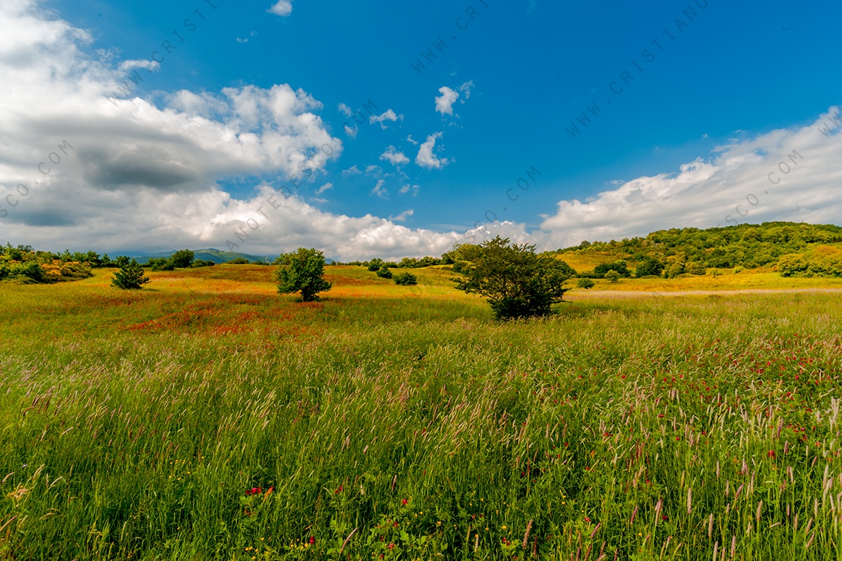 Foto di paesaggio dell'Alta Valle Sele