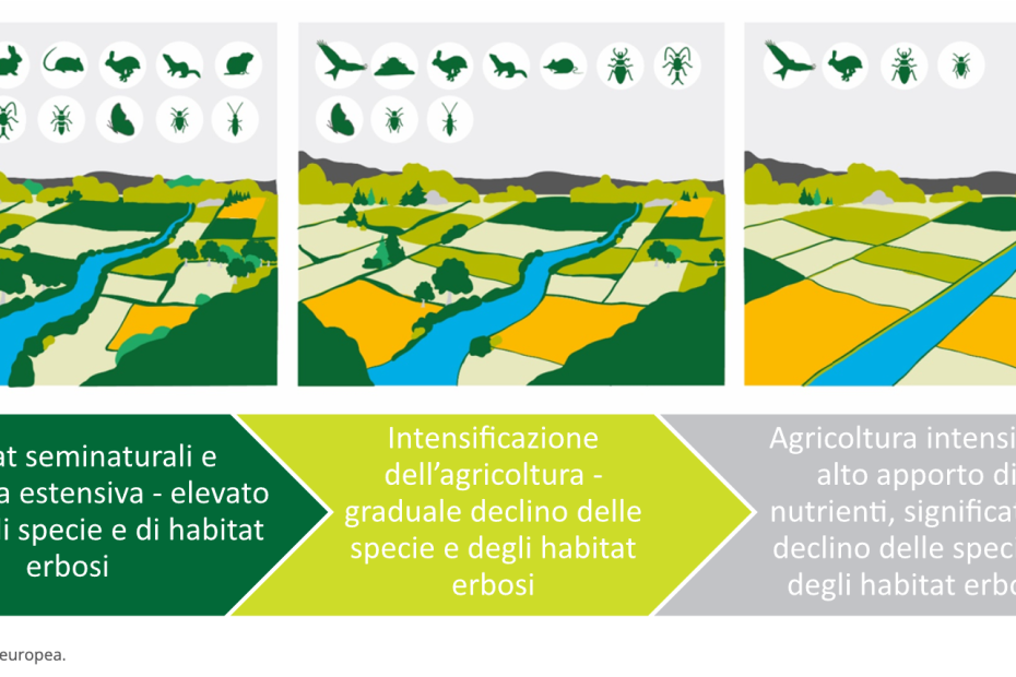 perdita biodiversità - agenda 2030