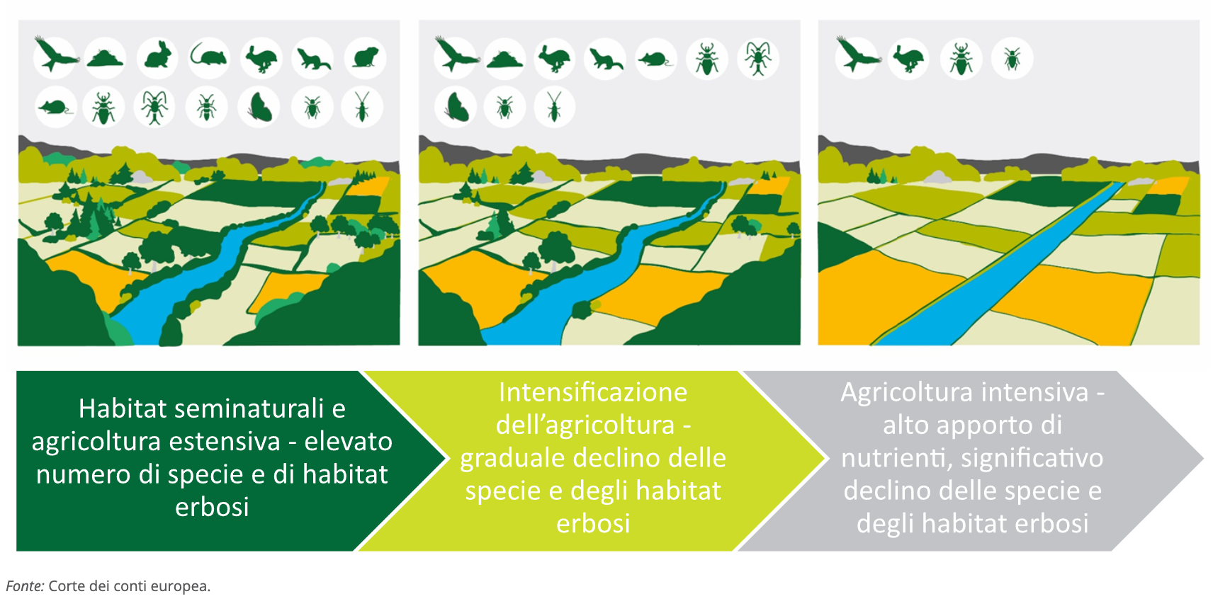 perdita biodiversità - agenda 2030