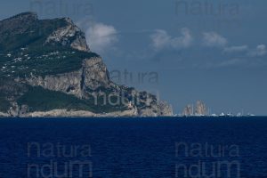 Foto di Capri e dei Faraglioni