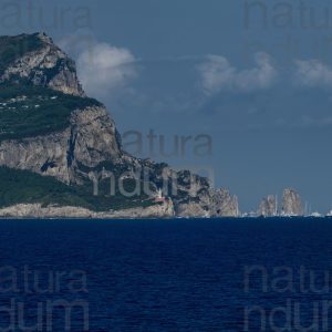 Foto di Capri e dei Faraglioni